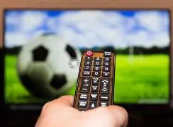 星火燃炬,海外新锐势,开云体育,开云体育,开云体育官网,开云体育app,开云体育app下载