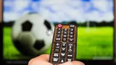 星火燃炬：海外新锐势力